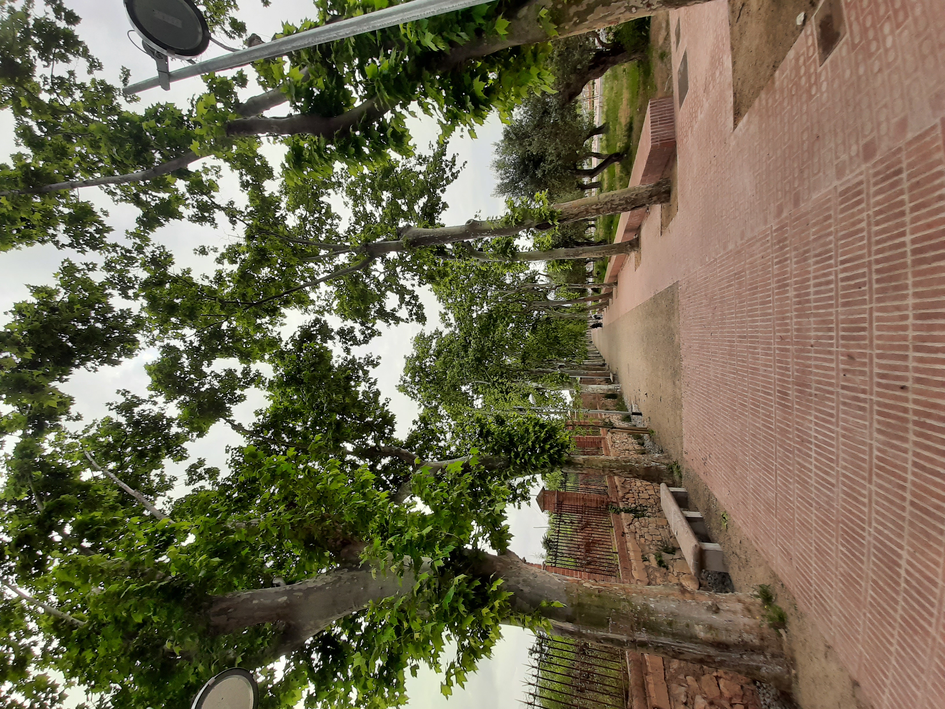 Imatge del passeig, amb el camí per a vianants