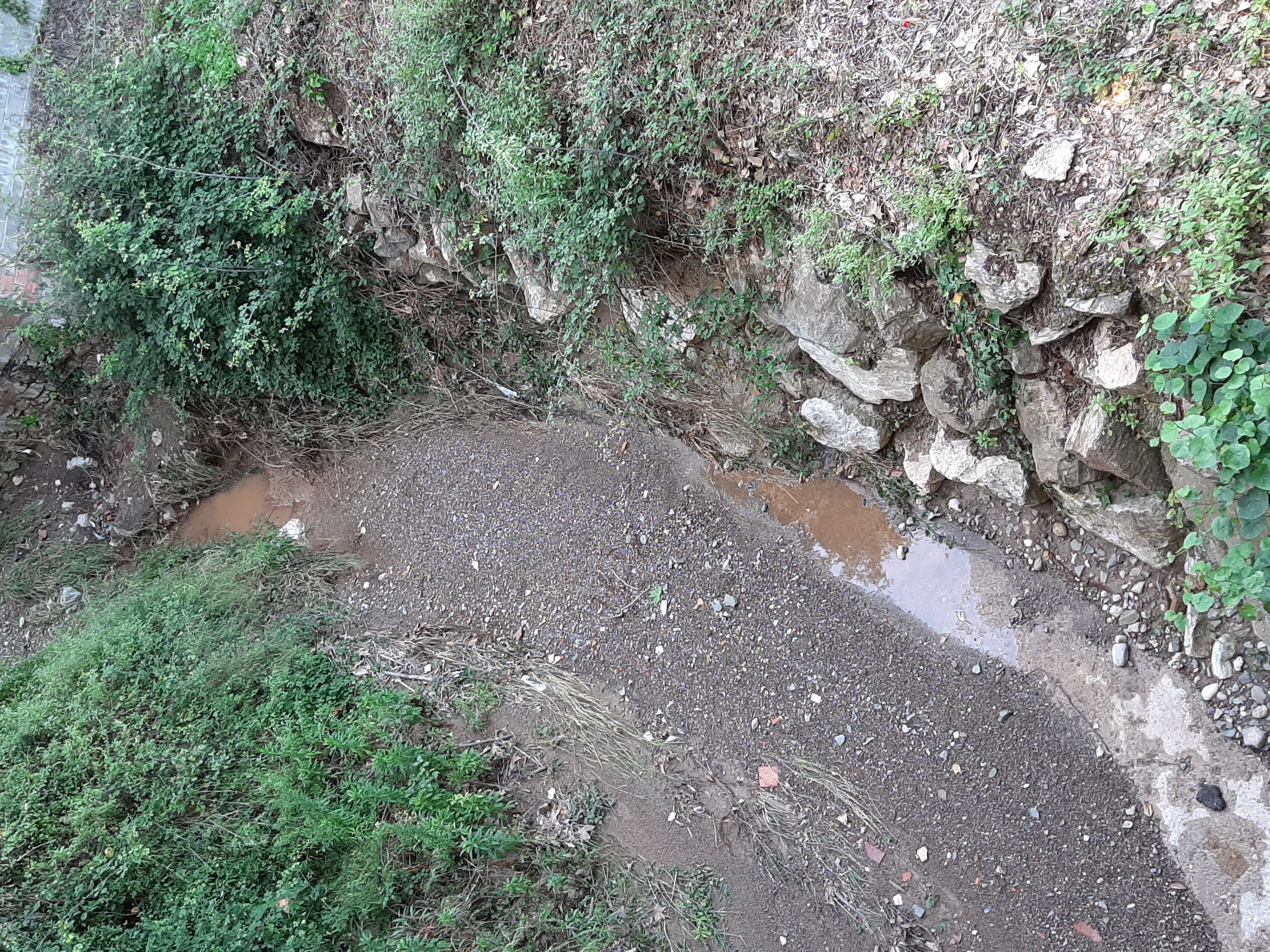 L'aigua baixant pel barranc