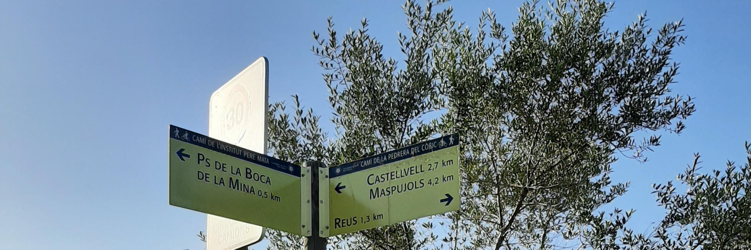 Imatge descriptiva de les rutes saludables