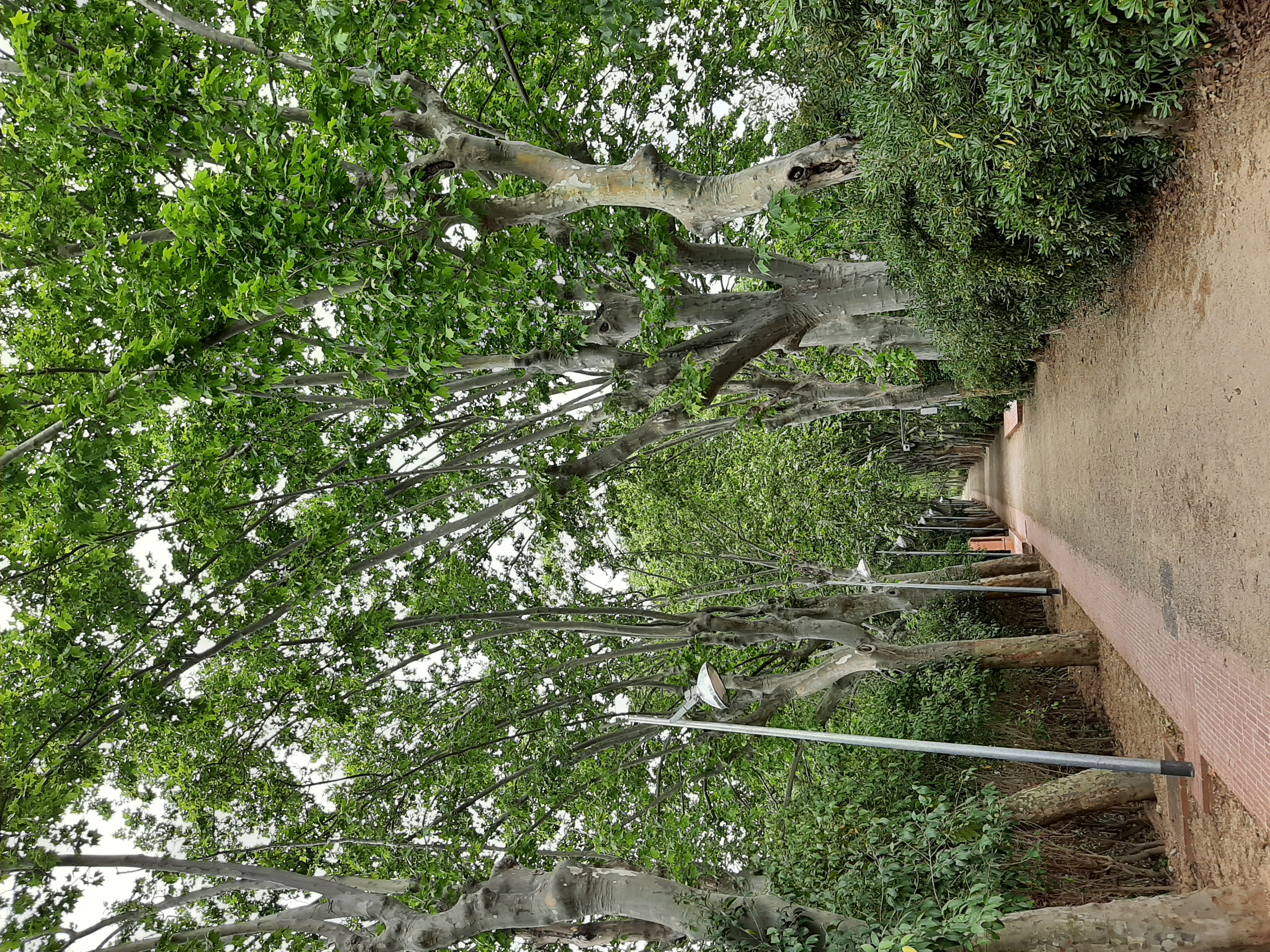 UN PASSEIG PER DESCOBRIR