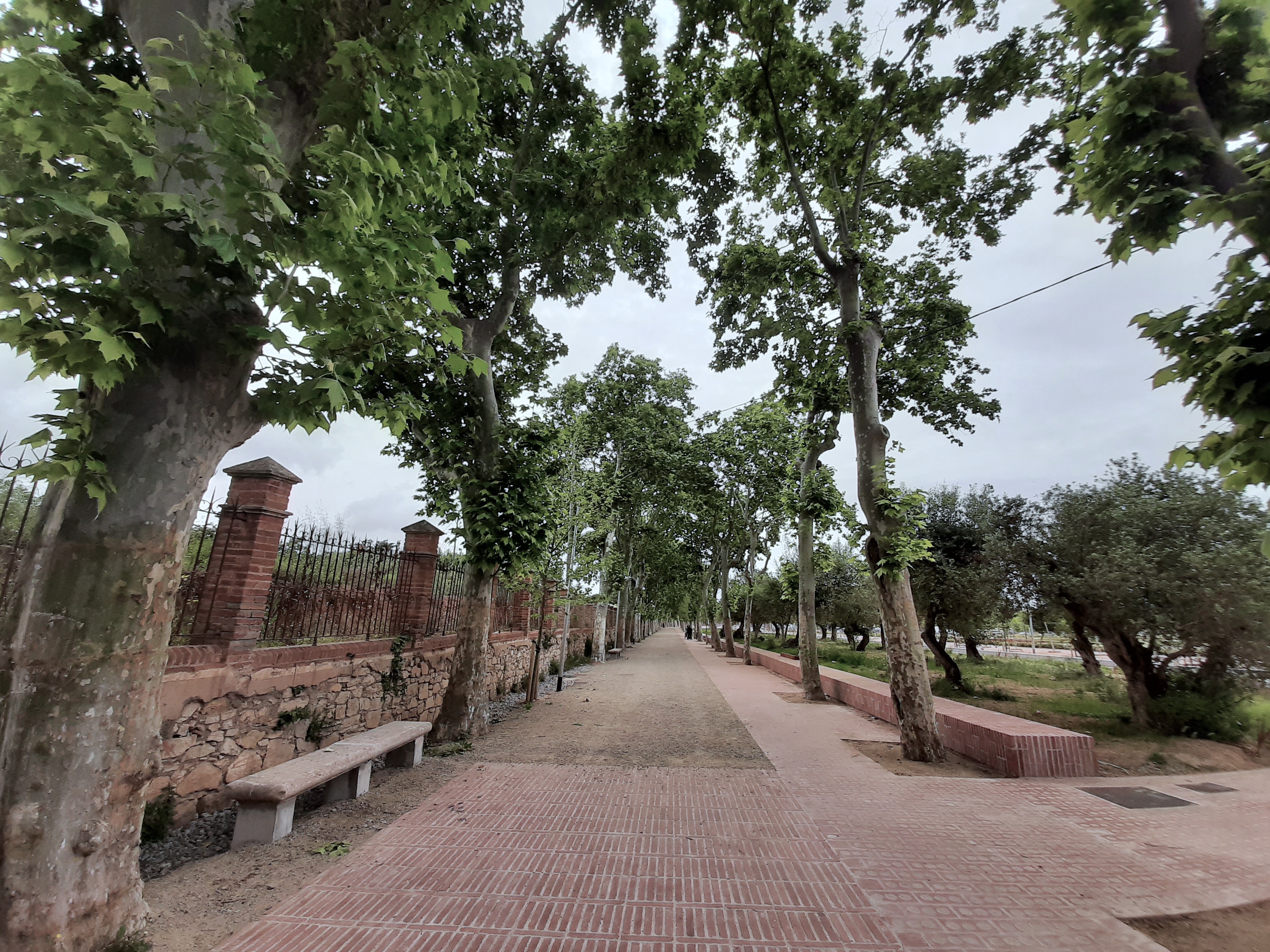L'accés a la plaça de M. Àngels Ollé, amb el Parc de les Olors a la banda dreta