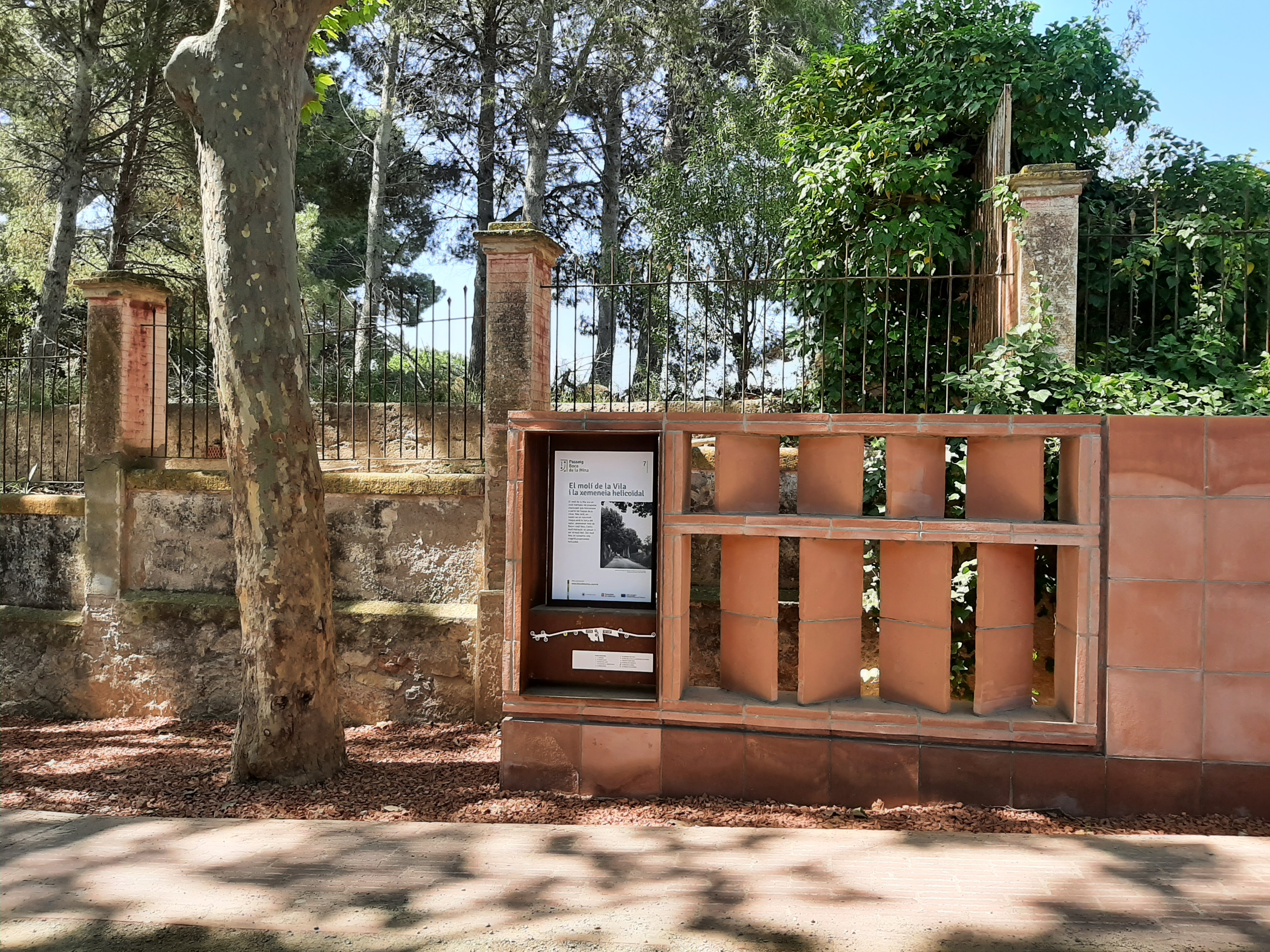 La història del Molí nou i del molí Vell 