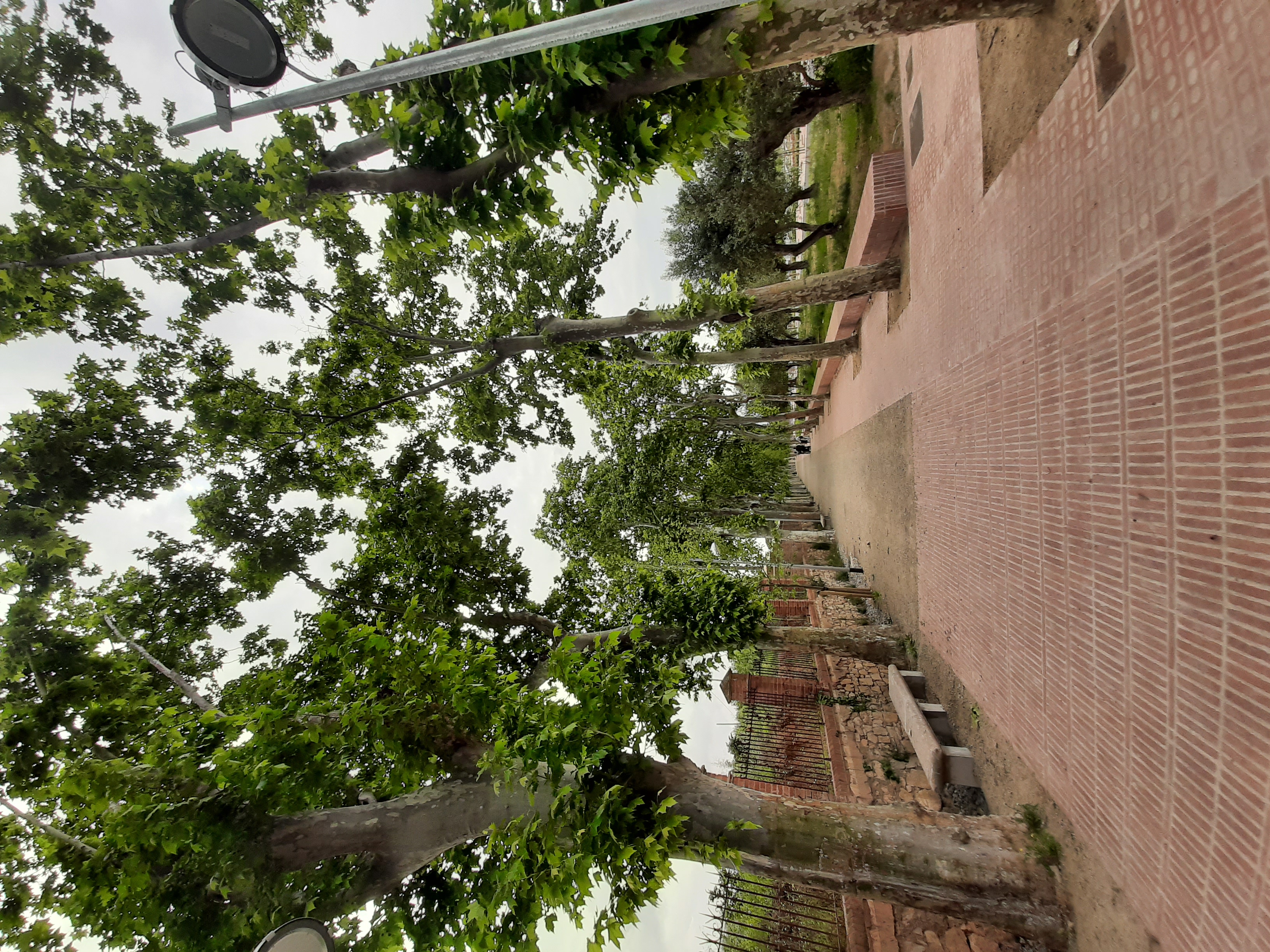 Vista de l'entrada d ela plaça de M. Àngels Ollé