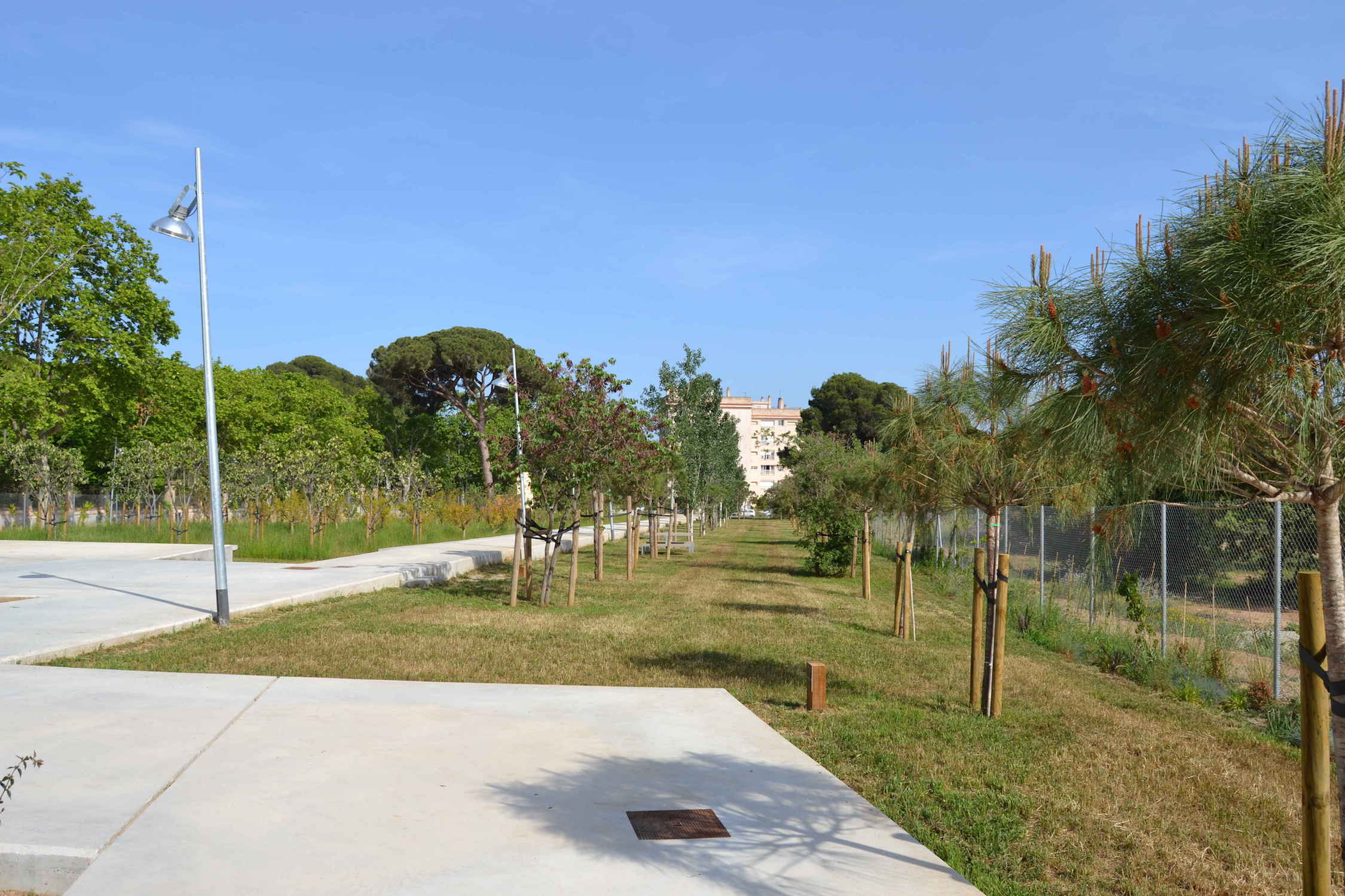 Jardí agrari del camp 2