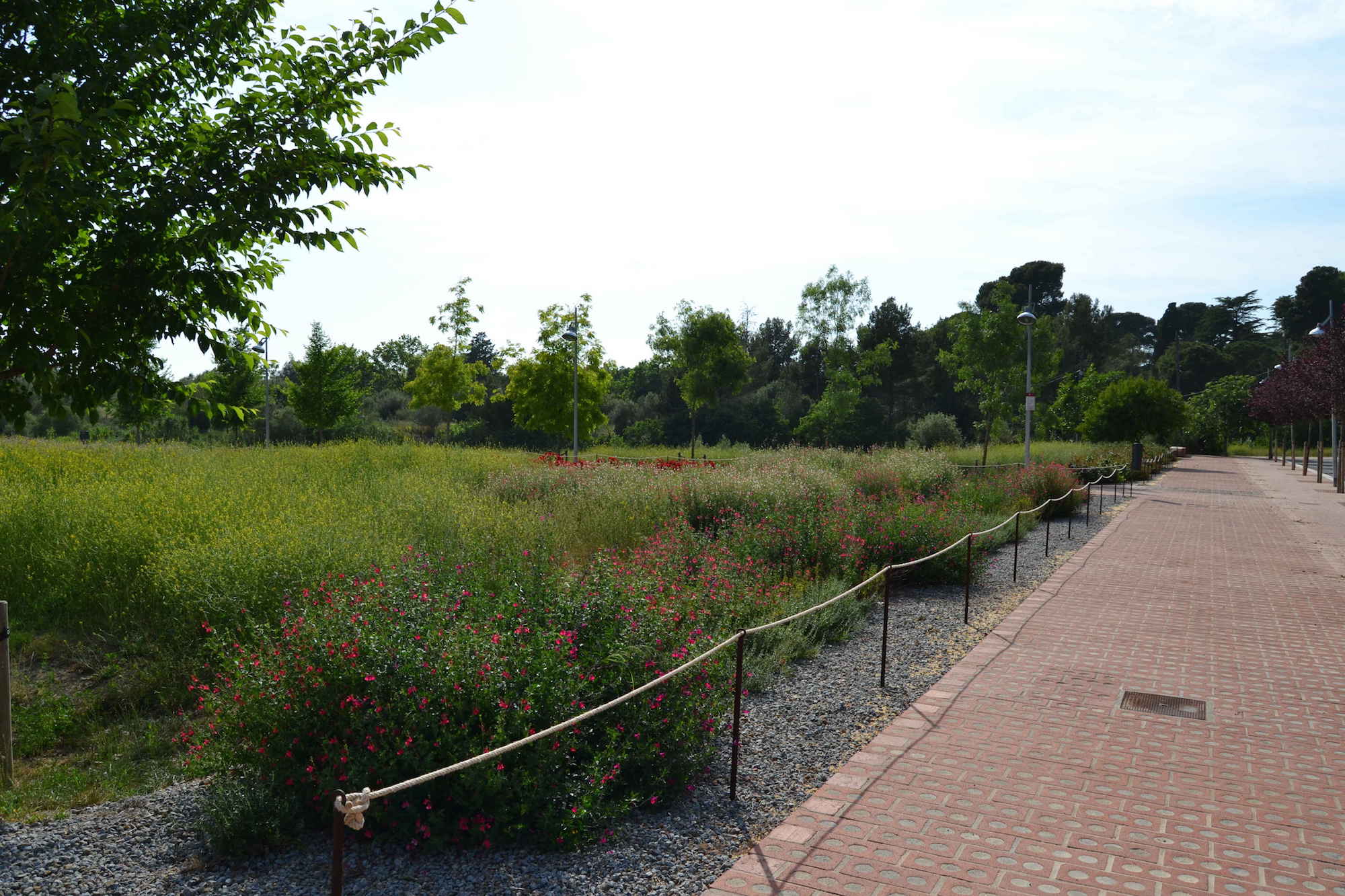 Parc de les olors 1