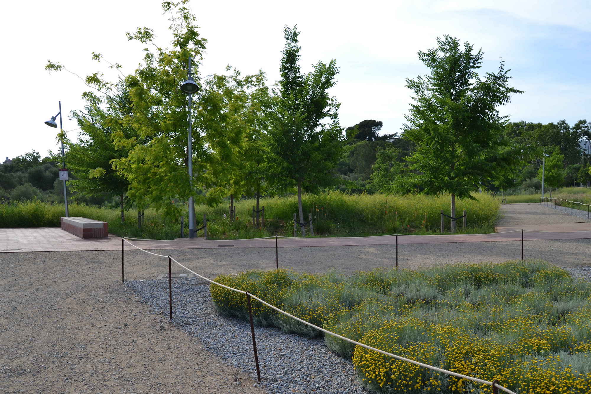 Parc de les olors 3