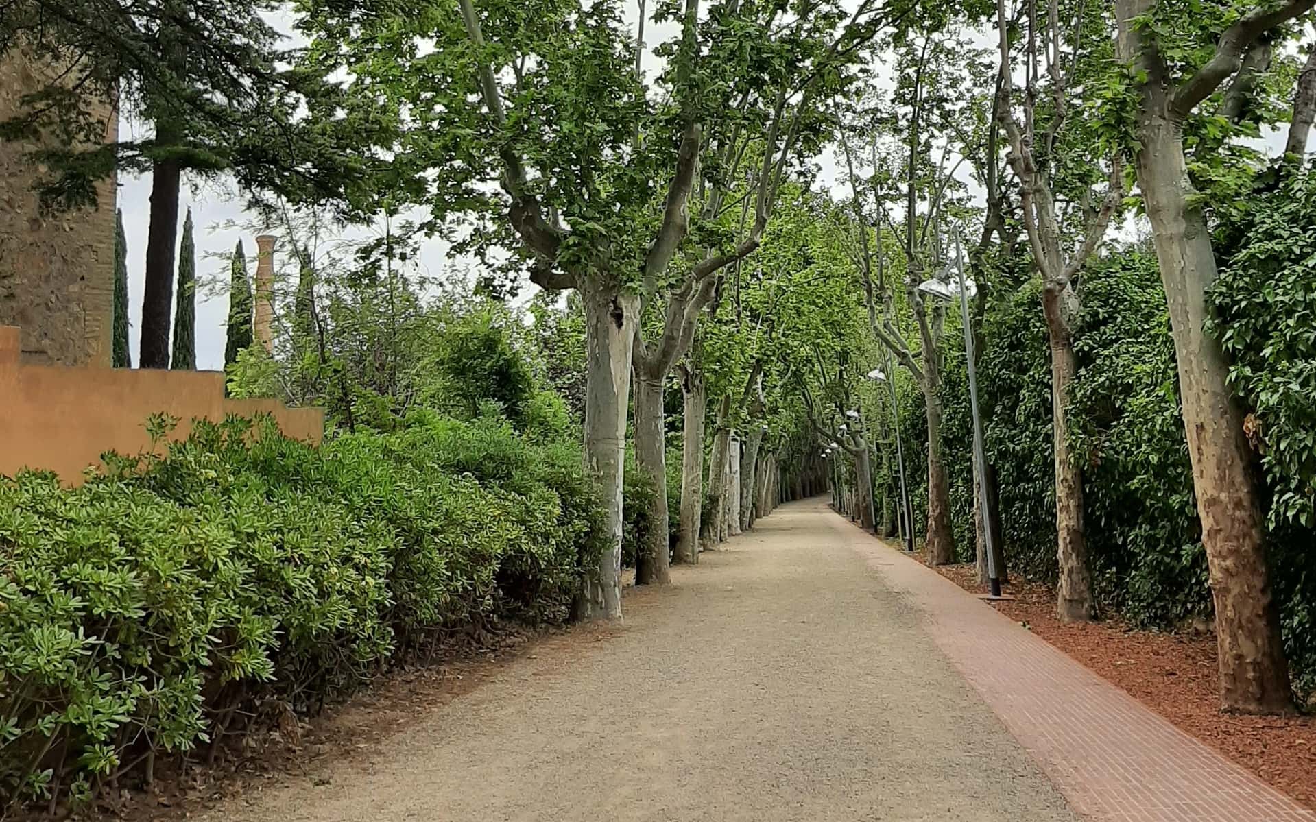 El passeig de sempre, recuperat